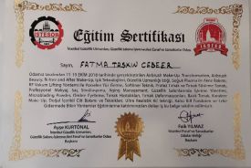 diploma - sertifika